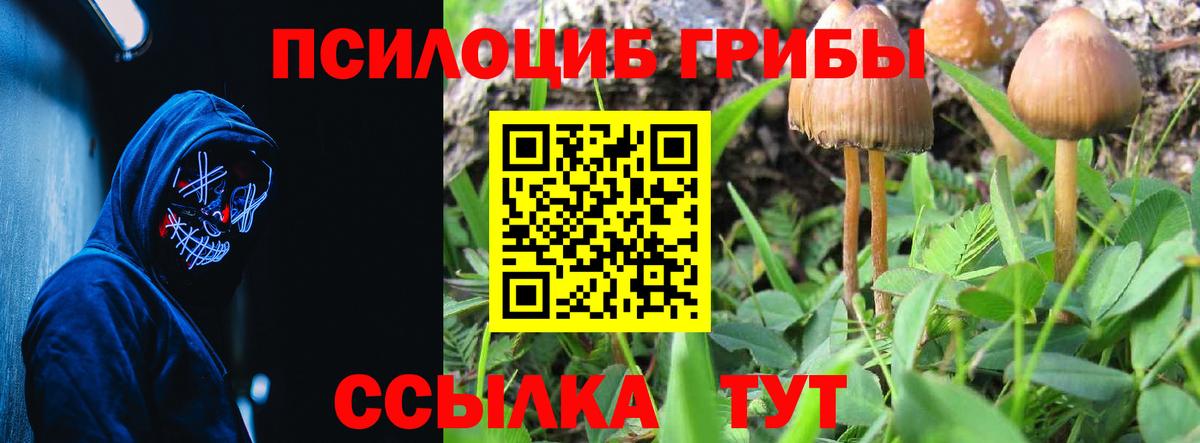 Галлюциногенные грибы GOLDEN TEACHER Аксай